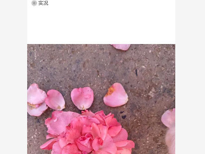 实况照片怎么改为视频第1步