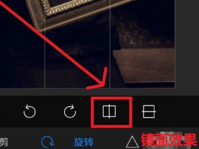 自拍照片怎么反转成正常照片第5步