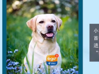 网上买的电信卡怎么激活第1步