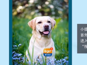 网上买的中国电信卡怎么激活第1步