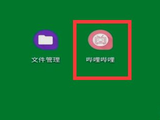 苹果手机b站视频保存到本地相册第1步