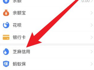 芝麻go怎么取消授权第2步