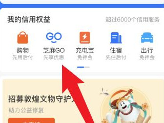 芝麻go怎么取消授权第3步