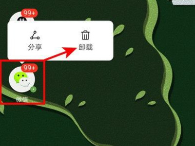 微信视频铃声不响是什么原因第8步