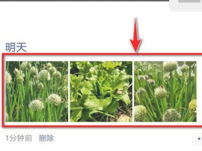 朋友圈平铺三张图教程第6步