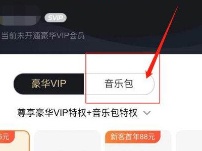 苹果手机支付不了酷狗音乐包第2步