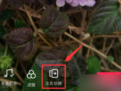 抖音里照片一张一张翻怎么做第4步