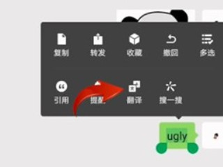 微信翻译功能在哪里设置第1步