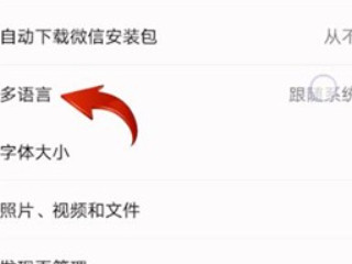 微信翻译功能在哪里设置第3步