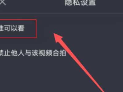 抖音明明有作品为什么别人看不到第4步