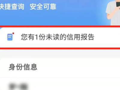 云闪付怎么查征信第5步