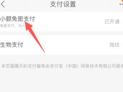 怎么关掉淘宝免密支付功能第4步