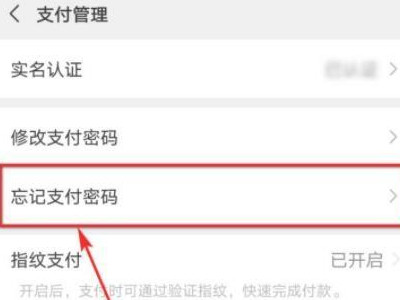 微信支付密码忘记了怎么看原密码第3步
