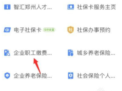 2021支付宝怎么查询社保缴费记录第3步