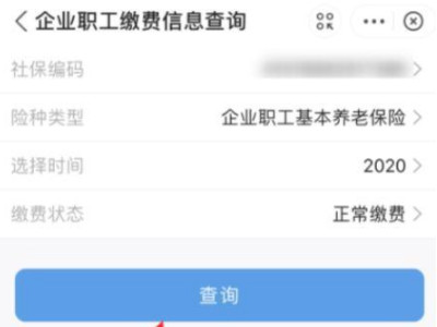 2021支付宝怎么查询社保缴费记录第4步