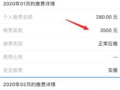 2021支付宝怎么查询社保缴费记录第5步