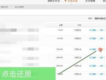 支付宝查看已删除账单第4步