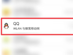 苹果手机唯独qq连不上网第4步
