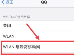 苹果手机唯独qq连不上网第5步