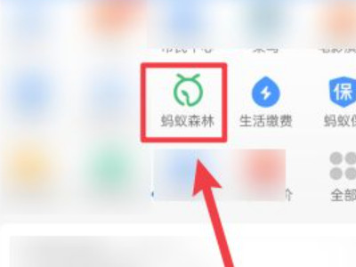 天天能量雨怎么才能得到多能量第1步