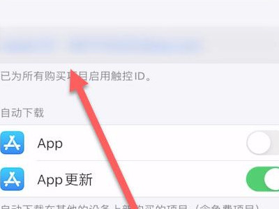 picsart自动扣费怎么申请退款第3步