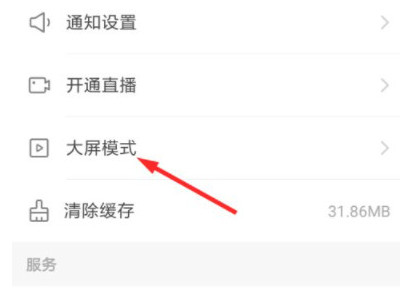 抖音大屏版什么意思第4步