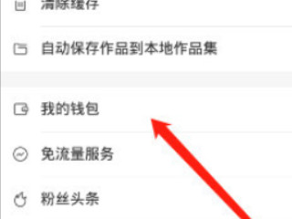 苹果手机微信怎么充值快手快币第3步