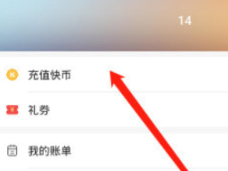 苹果手机微信怎么充值快手快币第4步