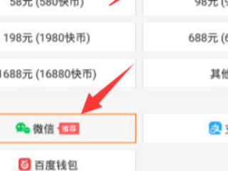 苹果手机微信怎么充值快手快币第5步