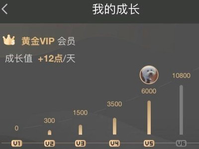知乎会员和盐选会员的区别第3步