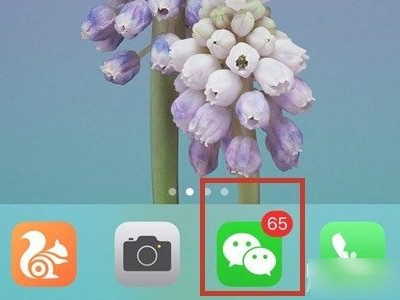 苹果手机怎么清理微信内存空间第1步