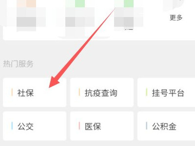 电子社保卡说查询不到信息第4步