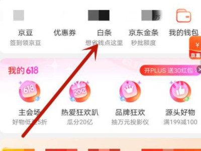 白条加油额度第1步