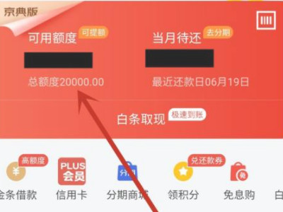 白条加油额度第2步