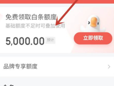 白条加油额度第3步