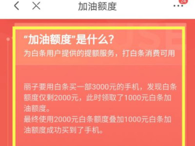 白条加油额度第4步