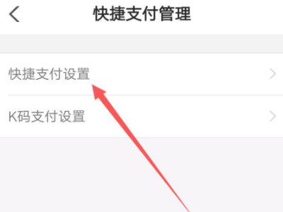 怎么查快捷支付给了谁第4步
