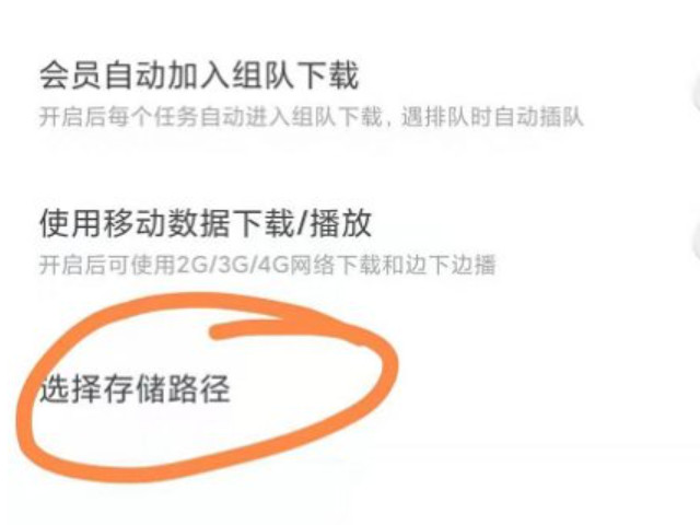 手机迅雷下载路径怎么更改第5步