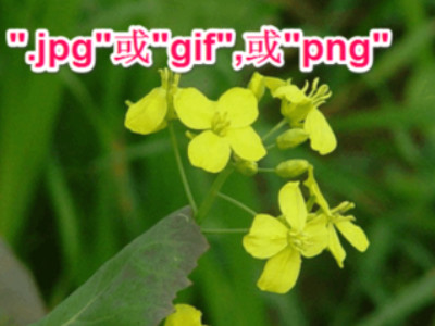 上传身份证一直失败第2步