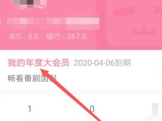 大会员b币怎么领第3步