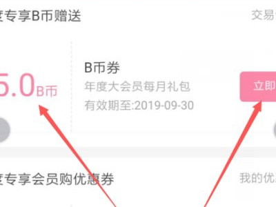 大会员b币怎么领第5步
