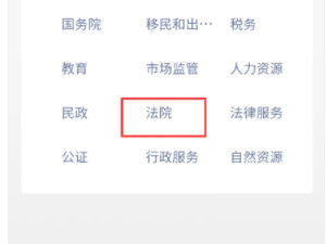 查案件在哪个网站查第3步