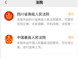 查案件在哪个网站查第4步