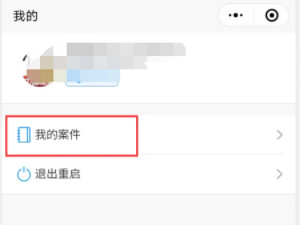 查案件在哪个网站查第6步