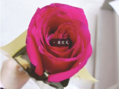 什么软件可以抠图放在另一个图上第4步