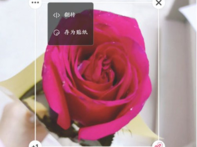 什么软件可以抠图放在另一个图上第5步