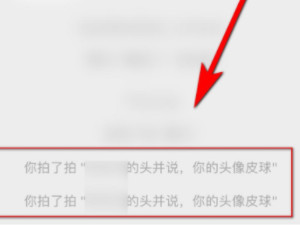 拍一拍怎么关第5步