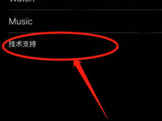 苹果手机怎么退款充的钱第2步