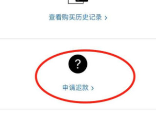 苹果手机怎么退款充的钱第4步