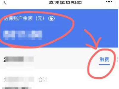 手机查医保卡余额怎么查第4步
